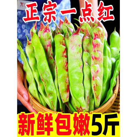 东北油豆角现摘新鲜5斤蔬菜黑龙江一点红油豆角东北特产整箱包邮